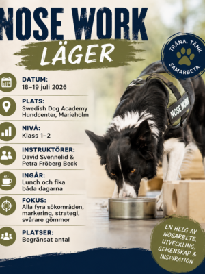 Nose Work-läger 2026 – Klass 1–2 | 18–19 juli